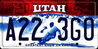 UT license plate A223GO