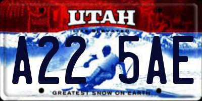 UT license plate A225AE