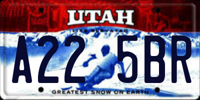 UT license plate A225BR