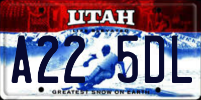 UT license plate A225DL