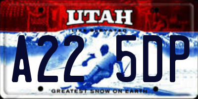 UT license plate A225DP