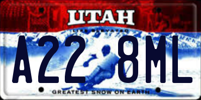 UT license plate A228ML
