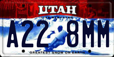 UT license plate A228MM