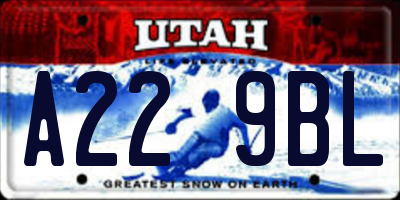 UT license plate A229BL