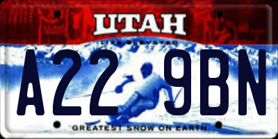 UT license plate A229BN