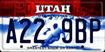 UT license plate A229BP
