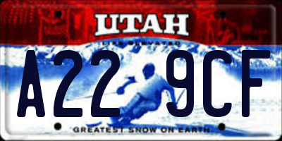 UT license plate A229CF