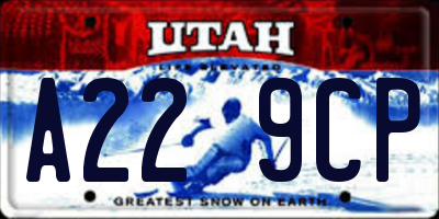 UT license plate A229CP