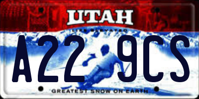 UT license plate A229CS