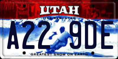 UT license plate A229DE