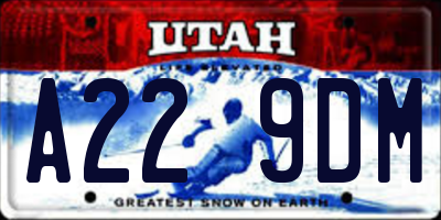 UT license plate A229DM