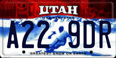 UT license plate A229DR