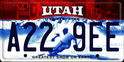 UT license plate A229EE