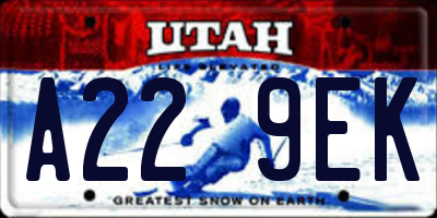 UT license plate A229EK