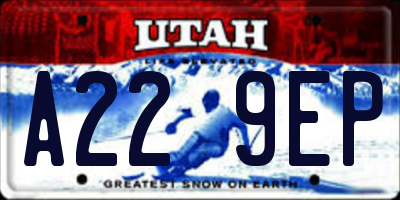 UT license plate A229EP