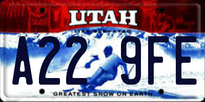UT license plate A229FE