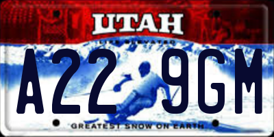 UT license plate A229GM