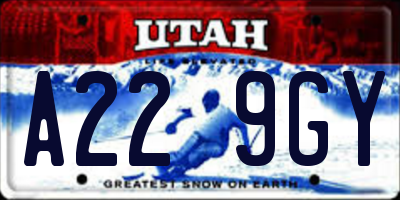 UT license plate A229GY