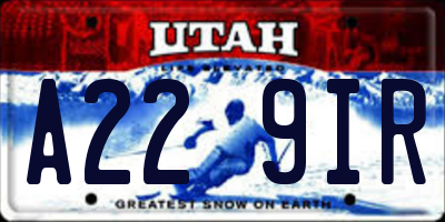 UT license plate A229IR