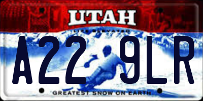 UT license plate A229LR