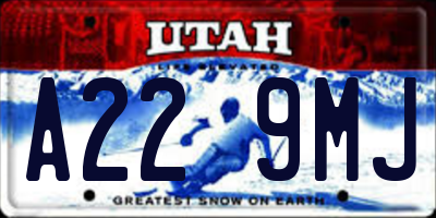 UT license plate A229MJ