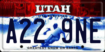 UT license plate A229NE