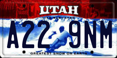 UT license plate A229NM