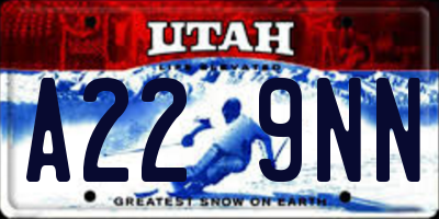 UT license plate A229NN