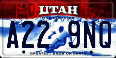 UT license plate A229NQ