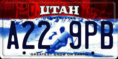 UT license plate A229PB