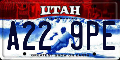 UT license plate A229PE