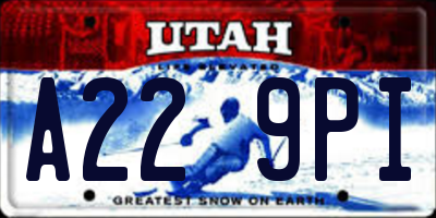 UT license plate A229PI