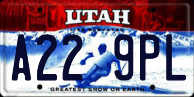 UT license plate A229PL