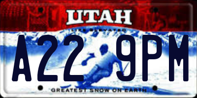 UT license plate A229PM