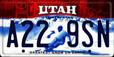 UT license plate A229SN