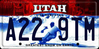 UT license plate A229TM