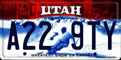 UT license plate A229TY