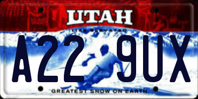 UT license plate A229UX