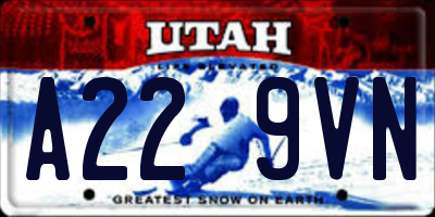 UT license plate A229VN