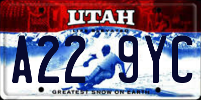 UT license plate A229YC