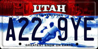 UT license plate A229YE