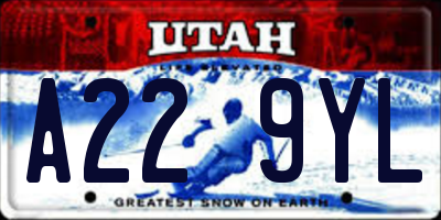 UT license plate A229YL