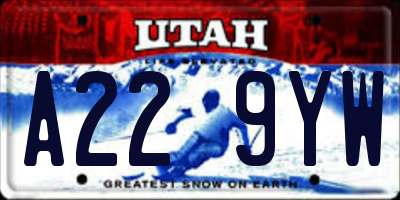 UT license plate A229YW