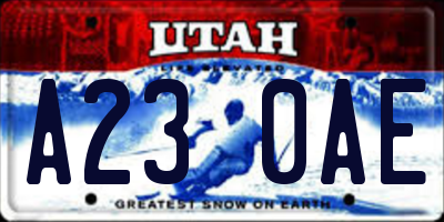 UT license plate A230AE