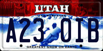 UT license plate A230IB