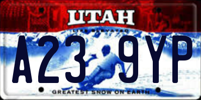 UT license plate A239YP