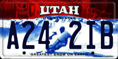 UT license plate A242IB