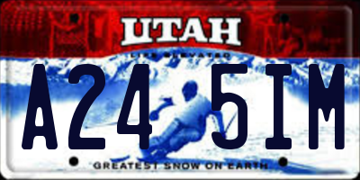 UT license plate A245IM