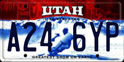 UT license plate A246YP