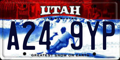 UT license plate A249YP